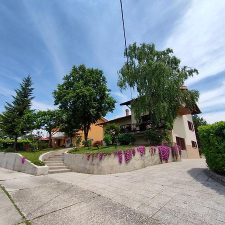 Apartma Breza Kojsko Bagian luar foto